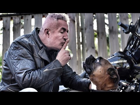 Видео: 7 секретов, которые мотоциклетная индустрия вам никогда не расскажет #harleydavidson