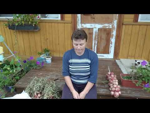 Видео: Вяжем лук в косы. Быстро и просто.