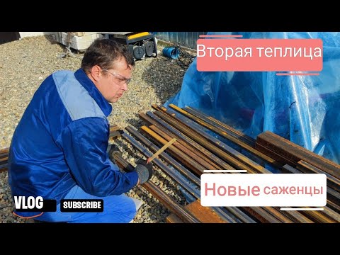 Видео: Влог# 672 Влоги с юга🌞 Мечты сбываются: начинаем установку второй теплицы👍 Новые саженцы на участке🌳