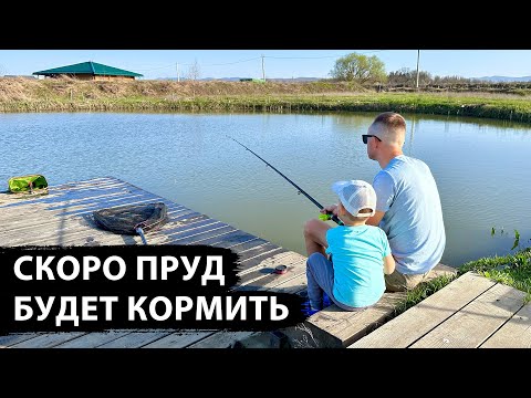 Видео: Выловил 2 форели, посмотреть чем питается, был удивлён, расчищаю и прибираю участок