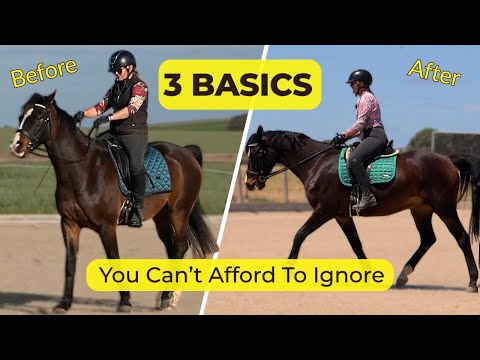 Видео: Если ваша лошадь застряла — как исправить эти 3 основные проблемы