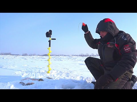 Видео: ОНИ загибают удочку в ДУГУ!!! РЫБАЛКА в ГЛУХОЗИМЬЕ на БЕЗМОТЫЛКУ.