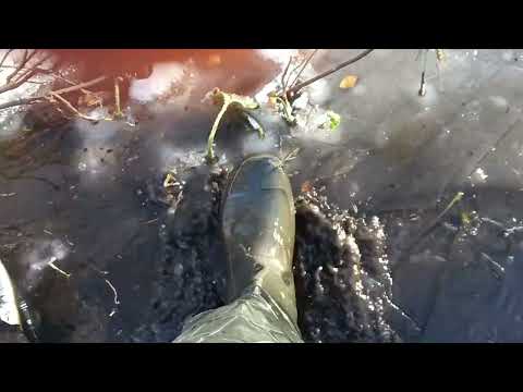 Видео: ЗА ЗОЛОТЫМ ПЕСКОМ "ЛОМАЯ ЛЕД"   С ПОДПИСЧИКОМ В ВЕРХОВЬЕ..