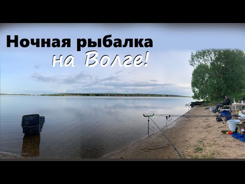 Видео: Ночная рыбалка на реке Волга, Иваньковское водохранилище. Не ловим леща, амура, карпа и сазана ))