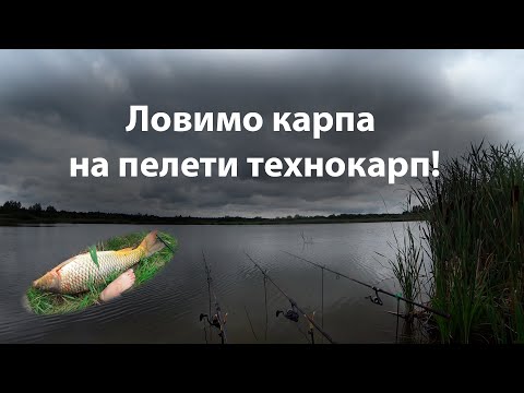 Видео: Ловимо карпа на пелети технокарп!