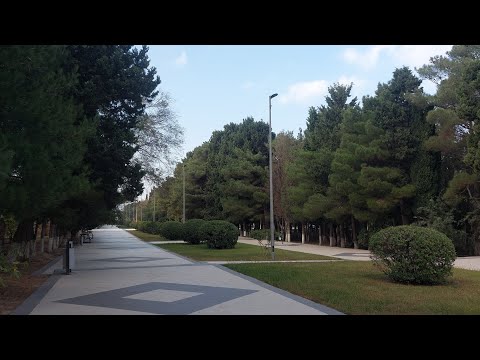 Видео: Прогулка по городу Сумгайыт  07.11.2025 