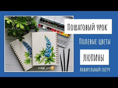 Видео: КАК НАРИСОВАТЬ ЛЮПИНЫ. АКВАРЕЛЬ