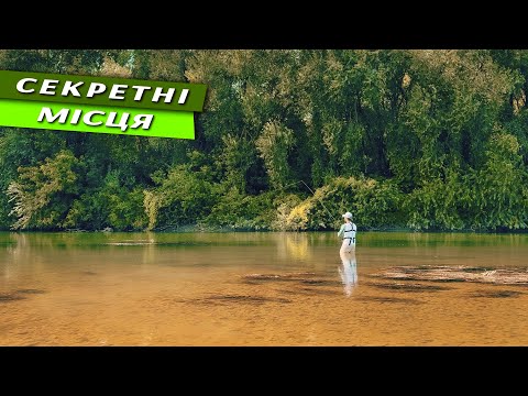 Видео: Два ТОПОВИХ Місця Для Риболовлі На Річці