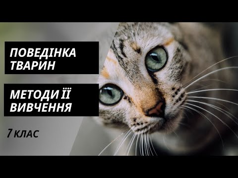 Видео: Поведінка тварин та методи її вивчення