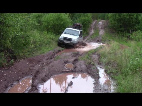 Видео: Седаново. 101км бездорожье. Рыбалка в непогоду. Окуня горбачи на каждом забросе. #Patriot#Сибирь