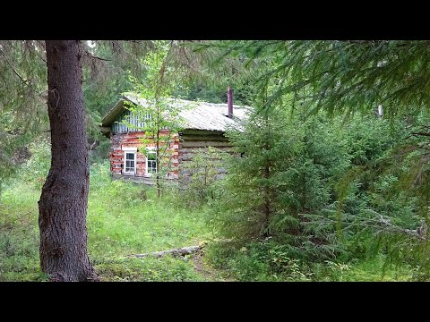 Видео: Путешествие на Ямозеро Ч15. Мезенская Пижма. Лесная изба охотничье зимовье. Один в тайге. Дом в лесу