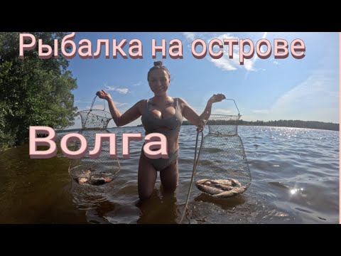 Видео: Волга. Неделю на острове. Рыбалка