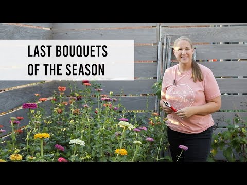 Видео: Последние букеты сезона! Цветочная ферма Sunshine and Flora