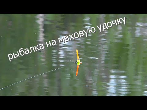 Видео: лещ на маховую удочку ночью, рыбалка на озере...