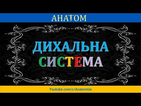 Видео: ДИХАЛЬНА СИСТЕМА - 1