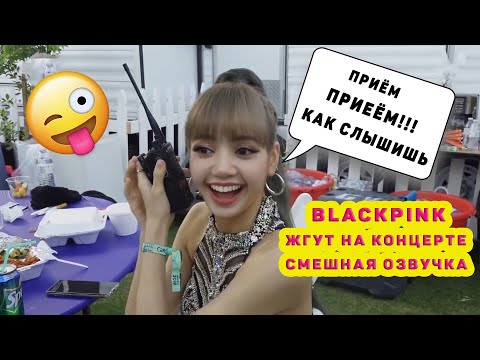Видео: BLACKPINK жгут на концерте смешная озвучка