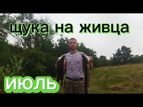 Видео: Ловля щуки на живца с лодки.