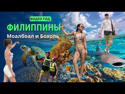 Видео: Филиппины. Себу- Моалбоал и Бохоль. Цены, экскурсии, локации, акулы в Ослоб. Долгопята, холмы.