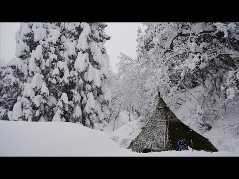 Видео: Одиночный кемпинг в заснеженном лесу | Горячая палатка и Рассел