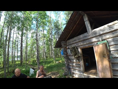 Видео: Рыбалка с ночёвкой/ Ловим щук и окуней на спиннинг/ Изба/ Морошка.