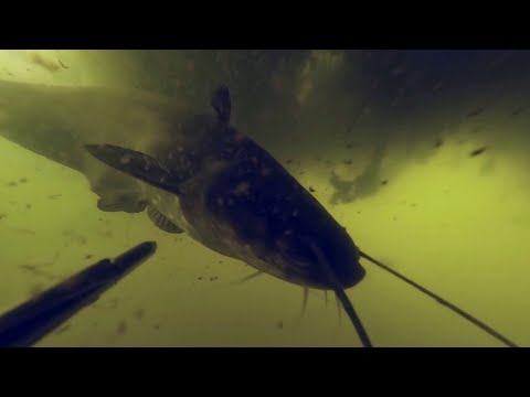 Видео: Я рискнул и проиграл