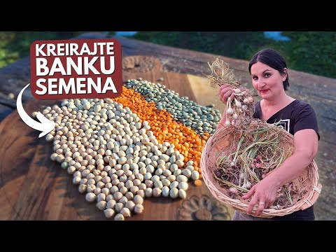 Видео: Как извлечь семена из этих 11 растений?