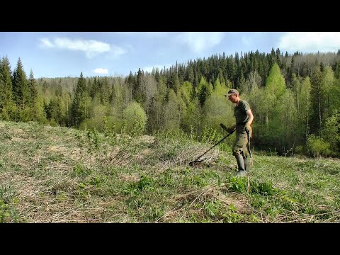 Видео: Кладоискательский поход в заброшенные деревни / 3 часть #370