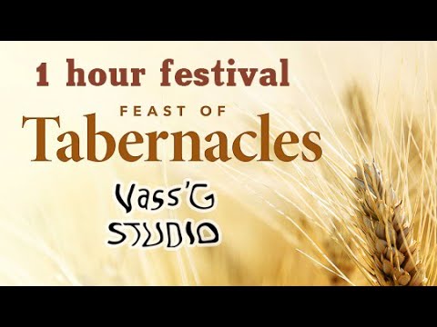 Видео: СУКОТ 1 ЧАС