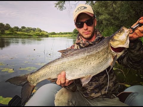 Видео: ТРОФЕЙНЫЙ ЖЕРЕХ малой реки! 2 дня на реке. . .
