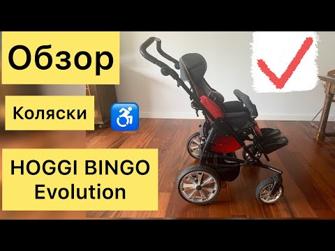 Видео: Обзор коляски HOGGI BINGO Evolution