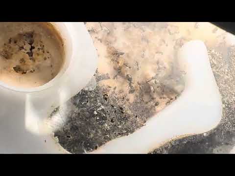 Видео: УЖАС!!! Переселяем и спасаем соленопсис геминату! Воскрешение!