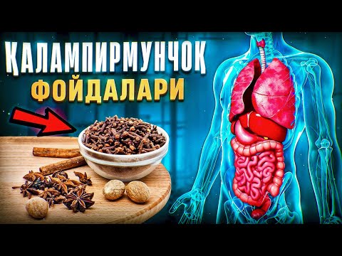 Видео: Қалампирмунчоқ фойдалари | Доктор Гулбаҳор