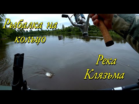 Видео: РЫБАЛКА НА КОЛЬЦО.  РЕКА КЛЯЗЬМА.