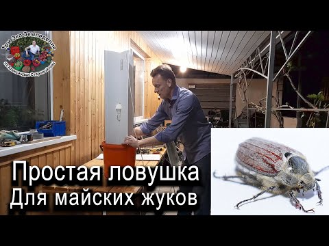 Видео: Простая ловушка для майских жуков #ТриЭкоСад