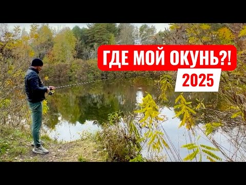 Видео: ОСЕННИЙ СПИННИНГ 2025 