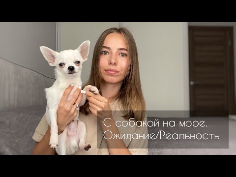 Видео: Путешествие с собакой на море | ОЖИДАНИЕ/РЕАЛЬНОСТЬ | наш опыт