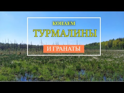 Видео: Копаем турмалины и гранаты. Коп минералов на Урале