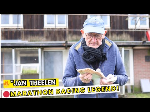 Видео: Ян Тилен – Голуби-марафонцы 🏆🐦
