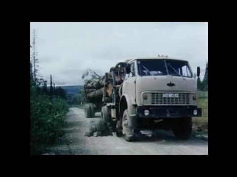 Видео: 1992 год. Ручная валка леса.