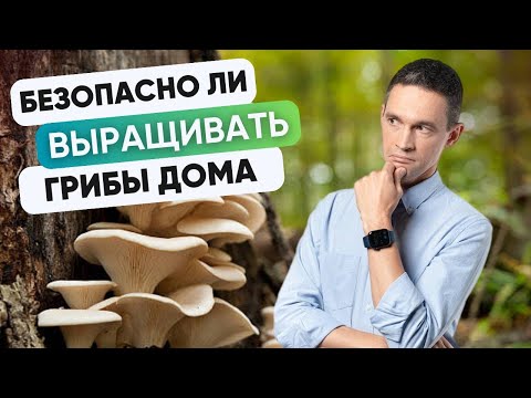Видео: Тест набора для домашнего выращивания грибов