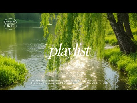 Видео: [Плейлист] Душевный Groove Pop для теплой осени 🍁 Музыка для кафе, учебы и отдыха 🎶