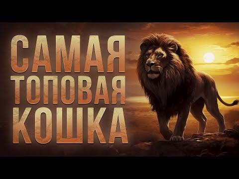 Видео: САМАЯ ТОПОВАЯ КОШКА | Земля - это игра