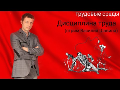 Видео: Дисциплина труда (стрим Василия Шавина)