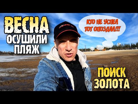 Видео: Осушили пляж, пора махать клюшкой! ( Поиск золота на пляже )