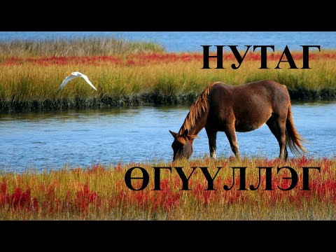 Видео: АУЗ, ТӨРИЙН ШАГНАЛТ ЗОХИОЛЧ Б.ДОГМИД "НУТАГ" ӨГҮҮЛЛЭГ / B.TOGMID NUTAG UGUULLEG / OGUULLEG