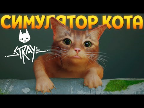 Видео: СИМУЛЯТОР КОТА НОВОГО ПОКОЛЕНИЯ ( Stray )