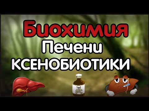 Видео: Биохимия. Лекция 30. Биохимия печени. Обезвреживание ксенобиотиков.