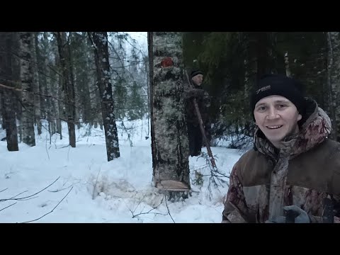 Видео: Заготовка дров закончена.Итоги работы.Т40 ам.