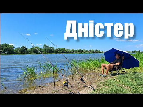 Видео: Рибалка на річці Дністер. Ловля на пружини та макушатник. Готую на природі. Карась, Лящ