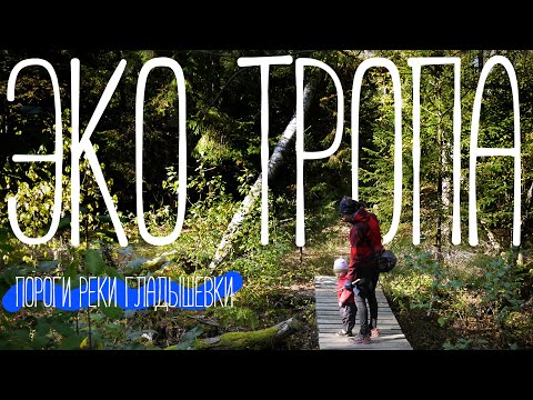 Видео: Пороги реки ГЛАДЫШЕВКИ | ХОРОША ? #кудапойти #экомаршрут